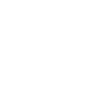 Data for AI